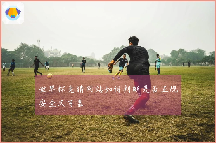 世界杯竞猜网站如何判断是否正规安全又可靠