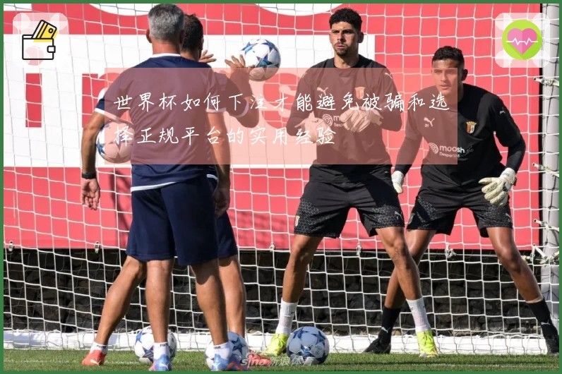 世界杯如何下注才能避免被骗和选择正规平台的实用经验