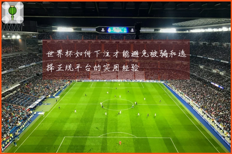 世界杯如何下注才能避免被骗和选择正规平台的实用经验